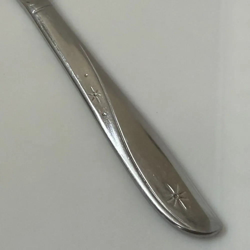 2pc Oneida Twin Star Dinner Fork / Soup Spoon Stainless Community Betty Crocker
